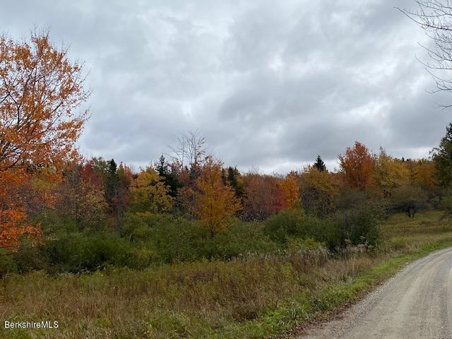 Howe Pond Road Readsboro, VT 05350 - Photo 5 of 6 a view of a bunch of trees