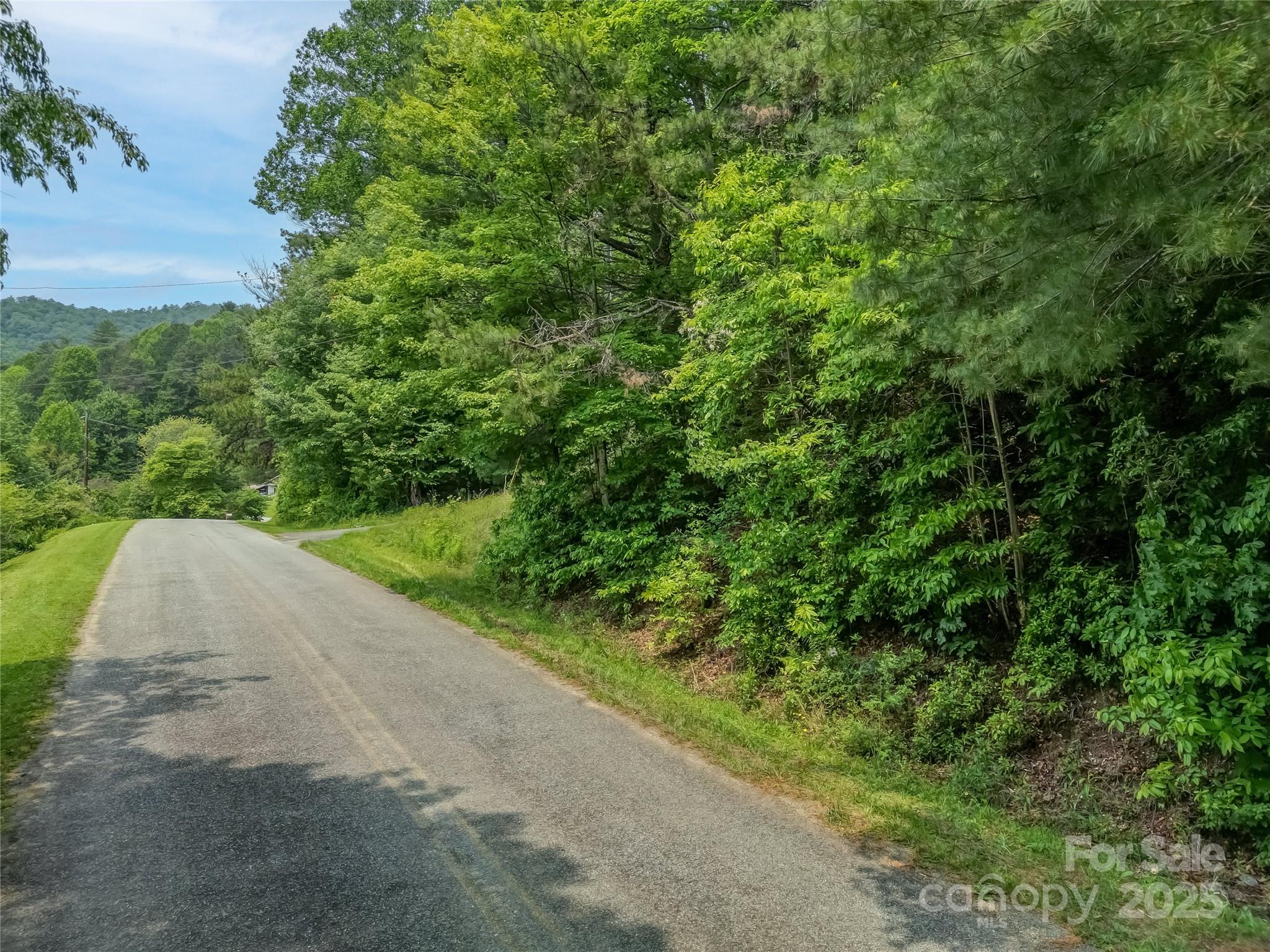 0 Israel Road Brevard, NC 28712 - Photo 3 of 17