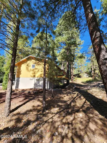a view of a yard with a tree