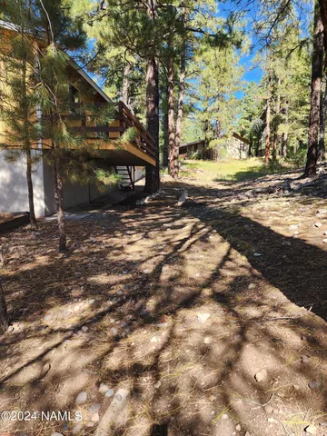 a view of a yard with a tree