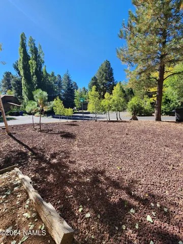 a view of a yard with plants and trees