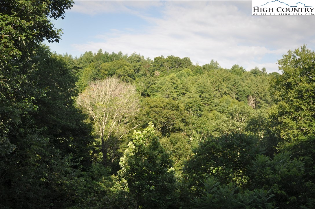 1940 Hardin Road Boone, NC 28607 - Photo 14 of 50 Gallery Image 14