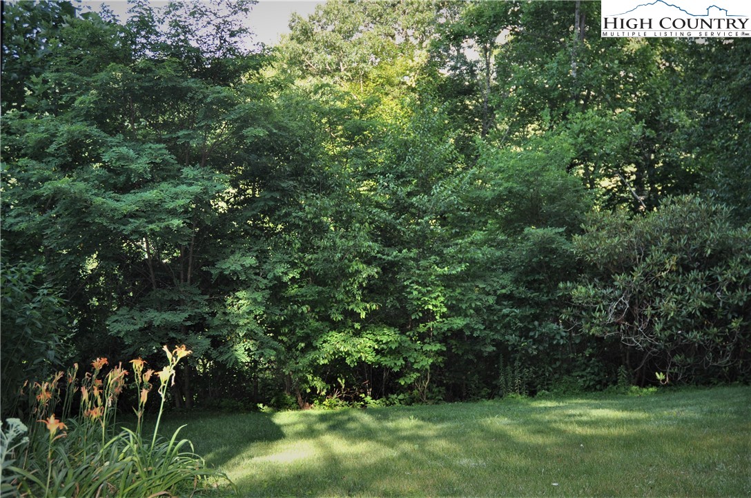 1940 Hardin Road Boone, NC 28607 - Photo 16 of 50 Gallery Image 16