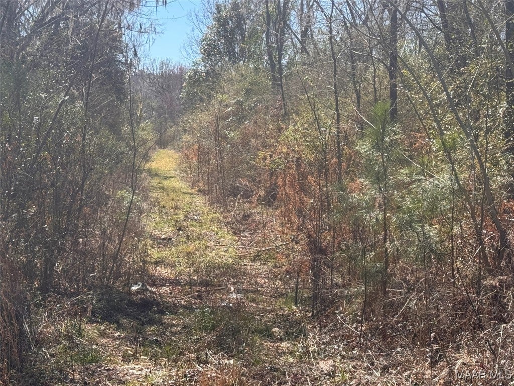 480 County Road 74 Road Selma, AL 36701 - Photo 17 of 33 Gallery Image 17