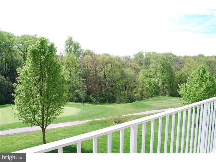 424 Brandon Road Norristown, PA 19403 - Photo 14 of 16 View in Back