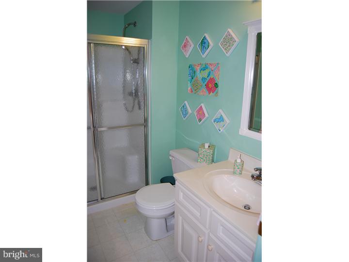 424 Brandon Road Norristown, PA 19403 - Photo 10 of 16 Bathroom