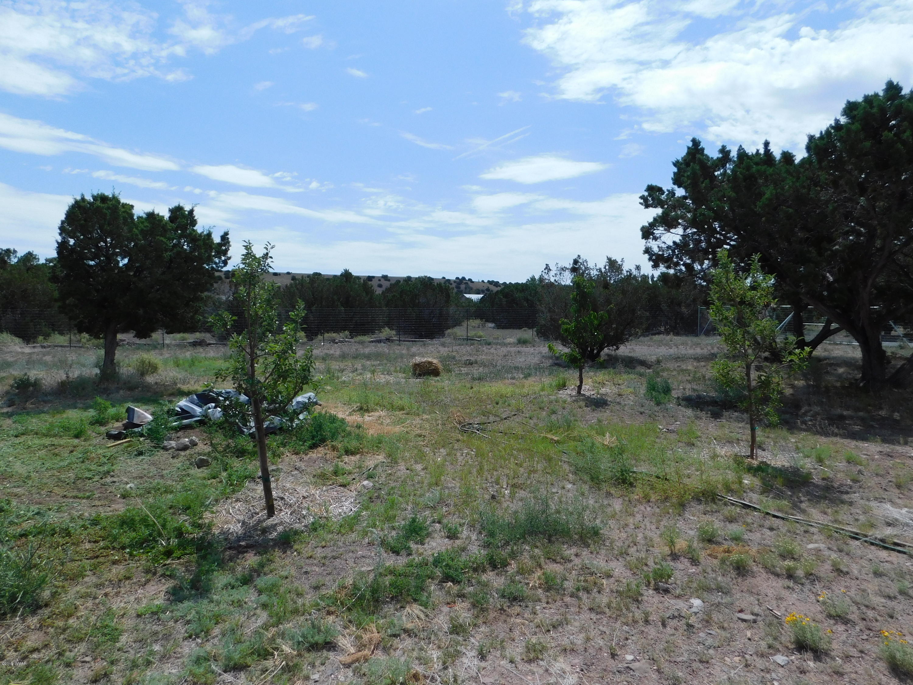 1734 Lydia Lane Springerville, AZ 85938 - Photo 11 of 50