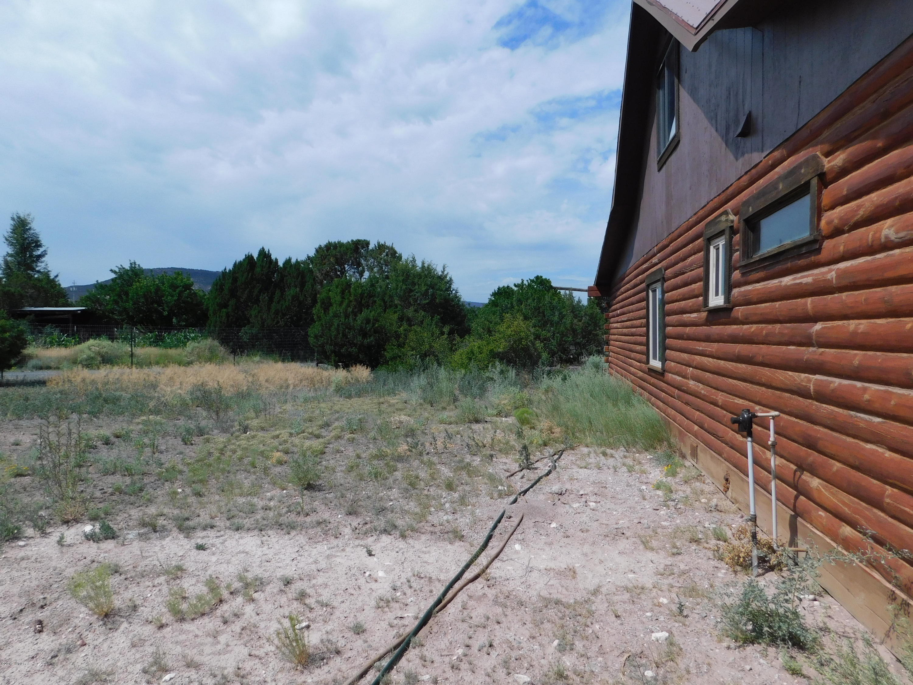 1734 Lydia Lane Springerville, AZ 85938 - Photo 12 of 50