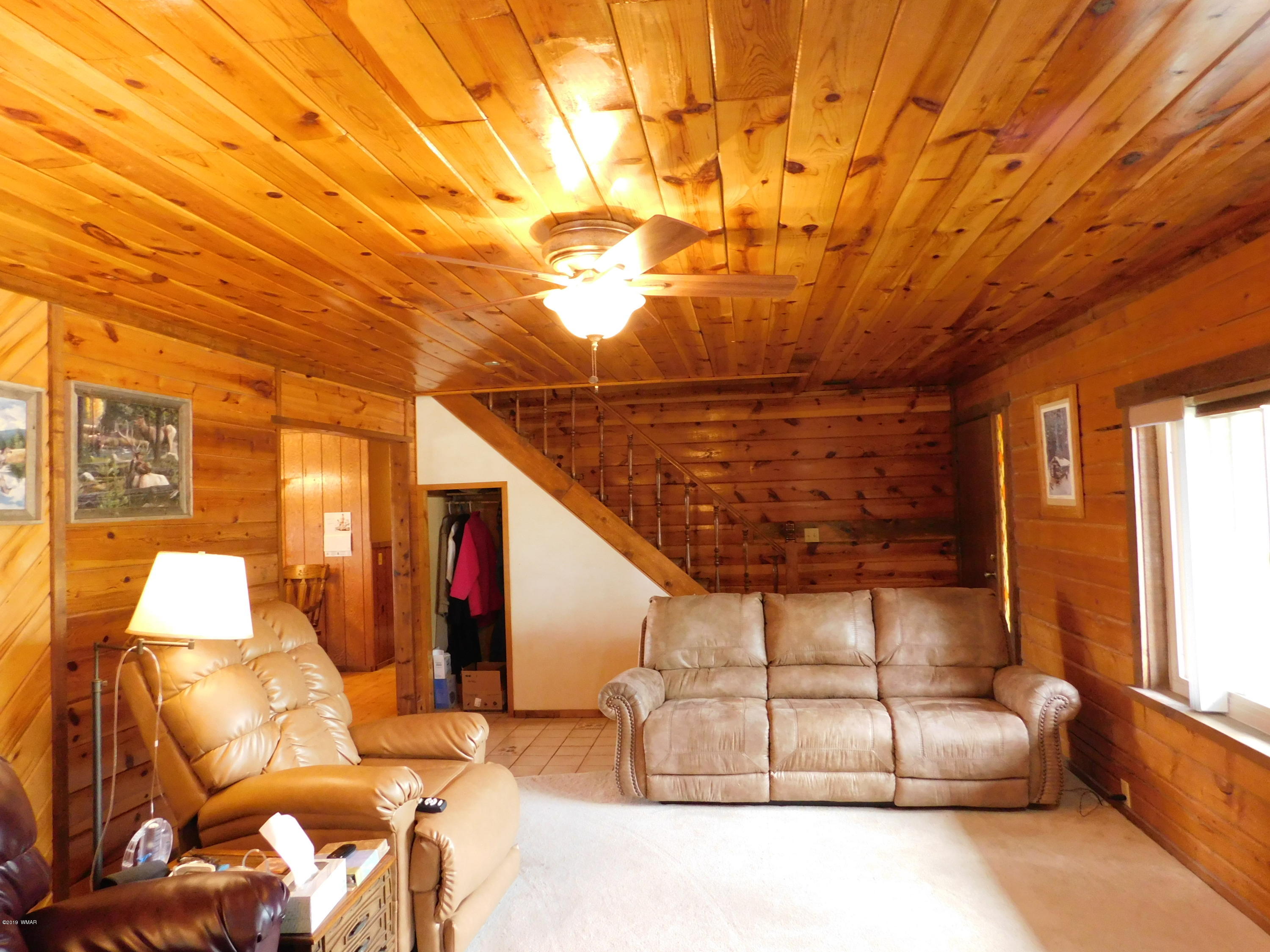 1734 Lydia Lane Springerville, AZ 85938 - Photo 19 of 50