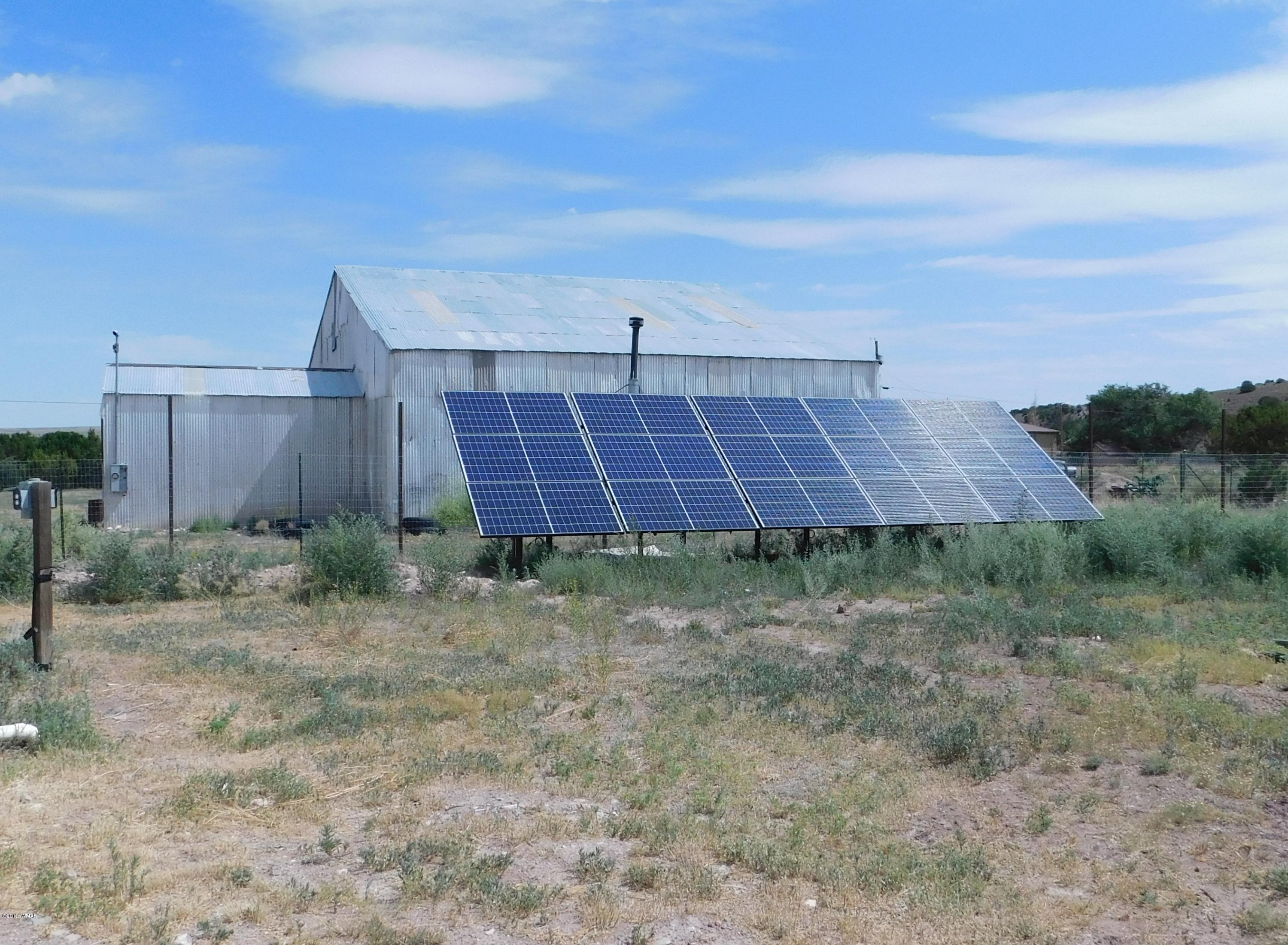 1734 Lydia Lane Springerville, AZ 85938 - Photo 5 of 50