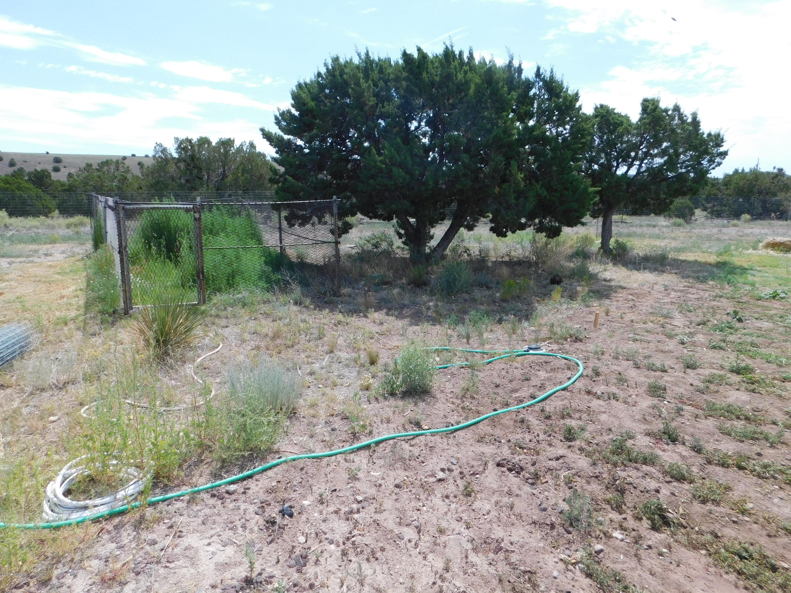 1734 Lydia Lane Springerville, AZ 85938 - Photo 9 of 50