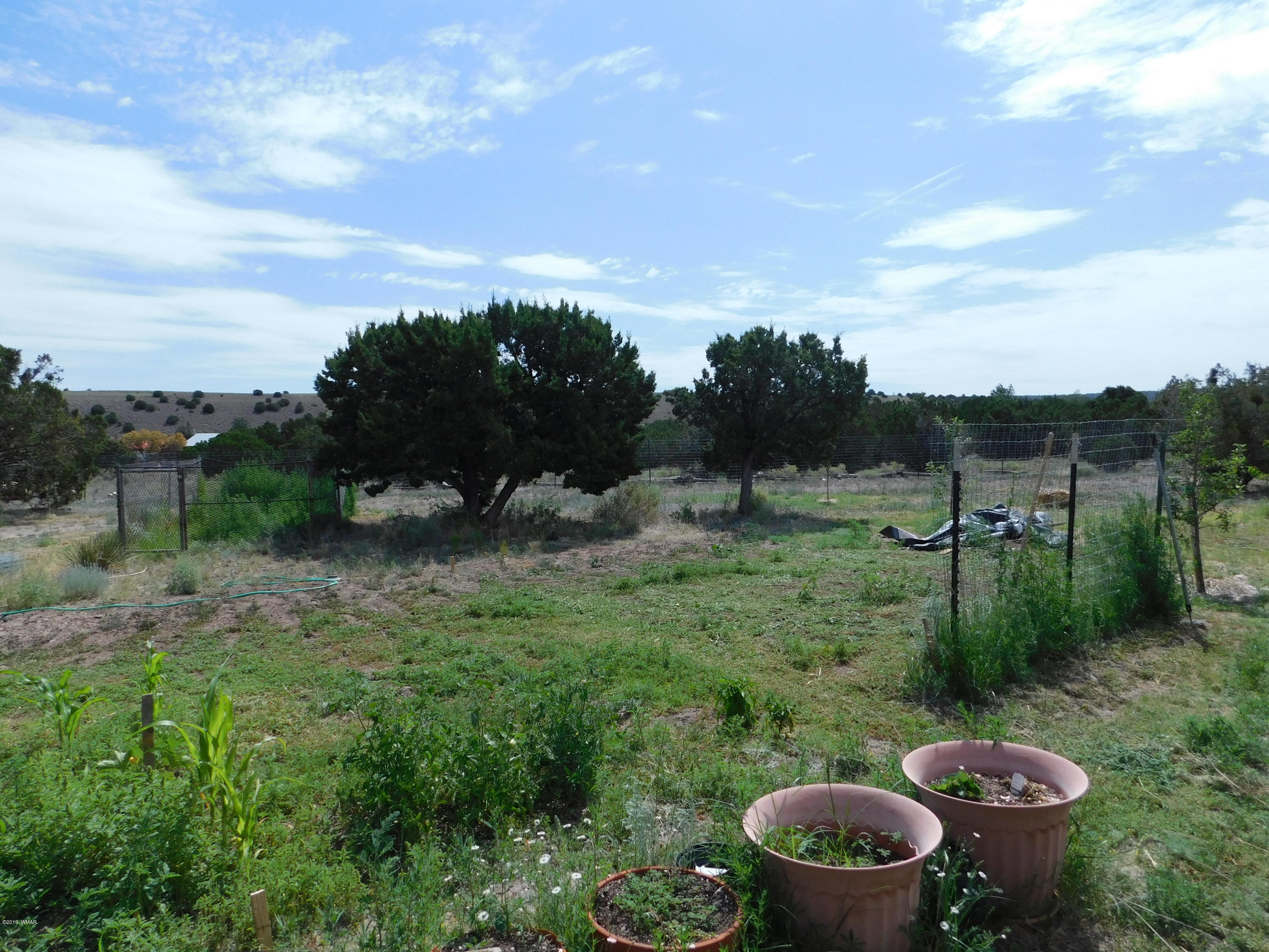 1734 Lydia Lane Springerville, AZ 85938 - Photo 10 of 50