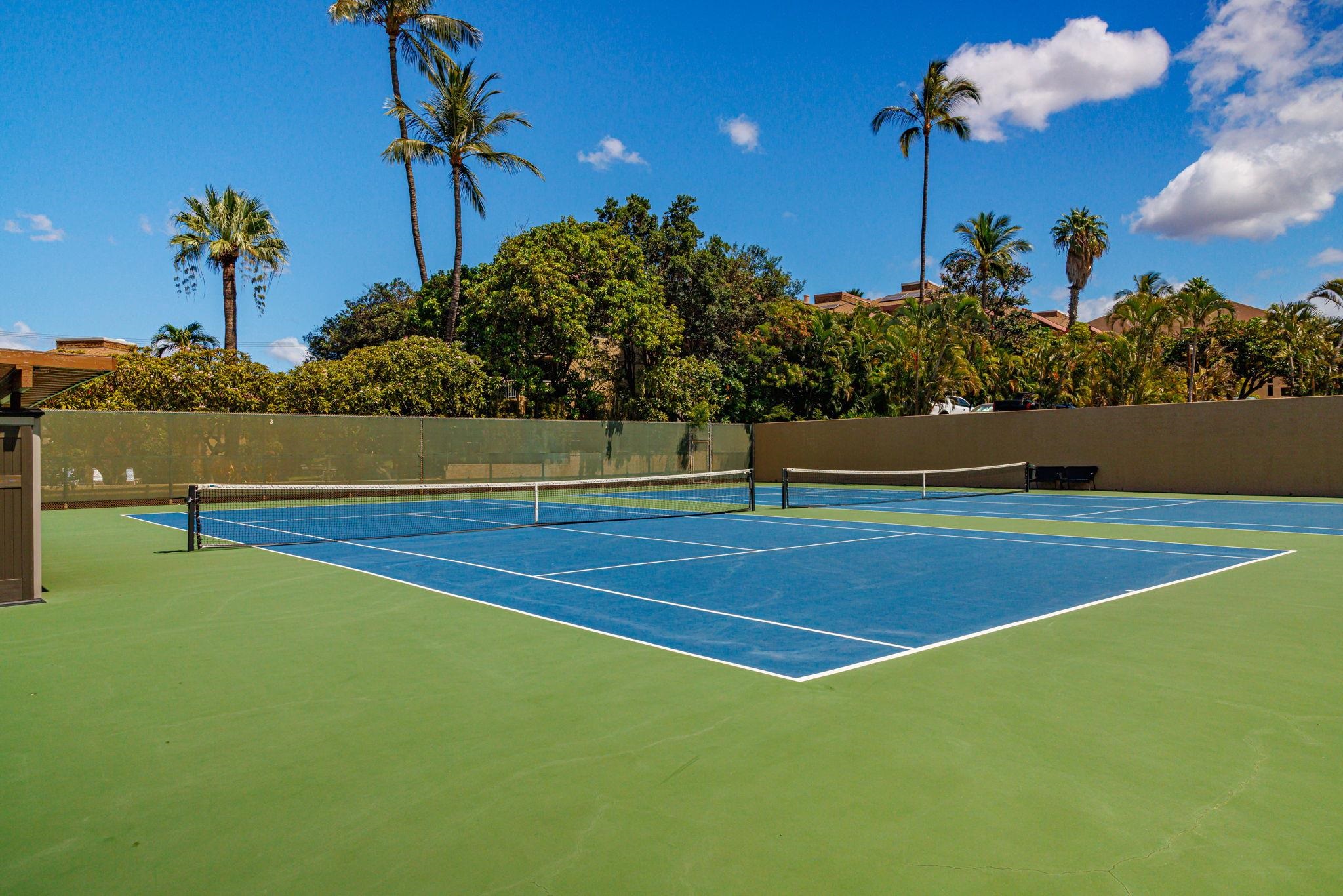 2695 South Kihei Road, Unit 5214 Kihei, HI 96753 - Photo 25 of 50