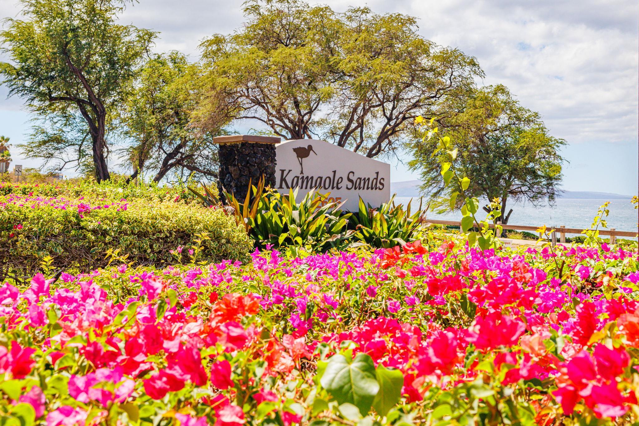 2695 South Kihei Road, Unit 5214 Kihei, HI 96753 - Photo 47 of 50