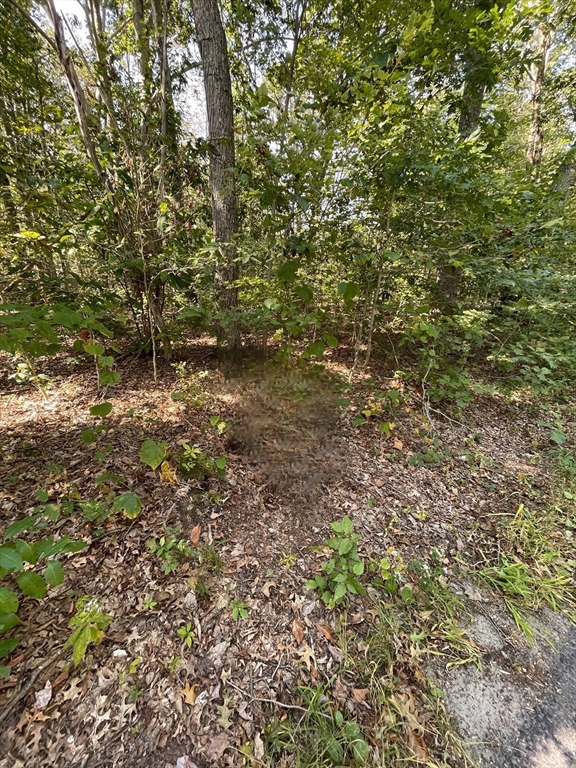 156 Rocky Hill Road Rehoboth, MA 02769 - Photo 3 of 3 a view of a yard with a tree