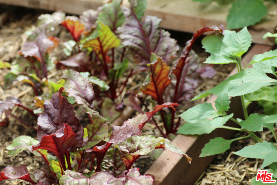 1580 Las Virgenes Road Calabasas, CA 91302 - Photo 44 of 51 a picture of flowers