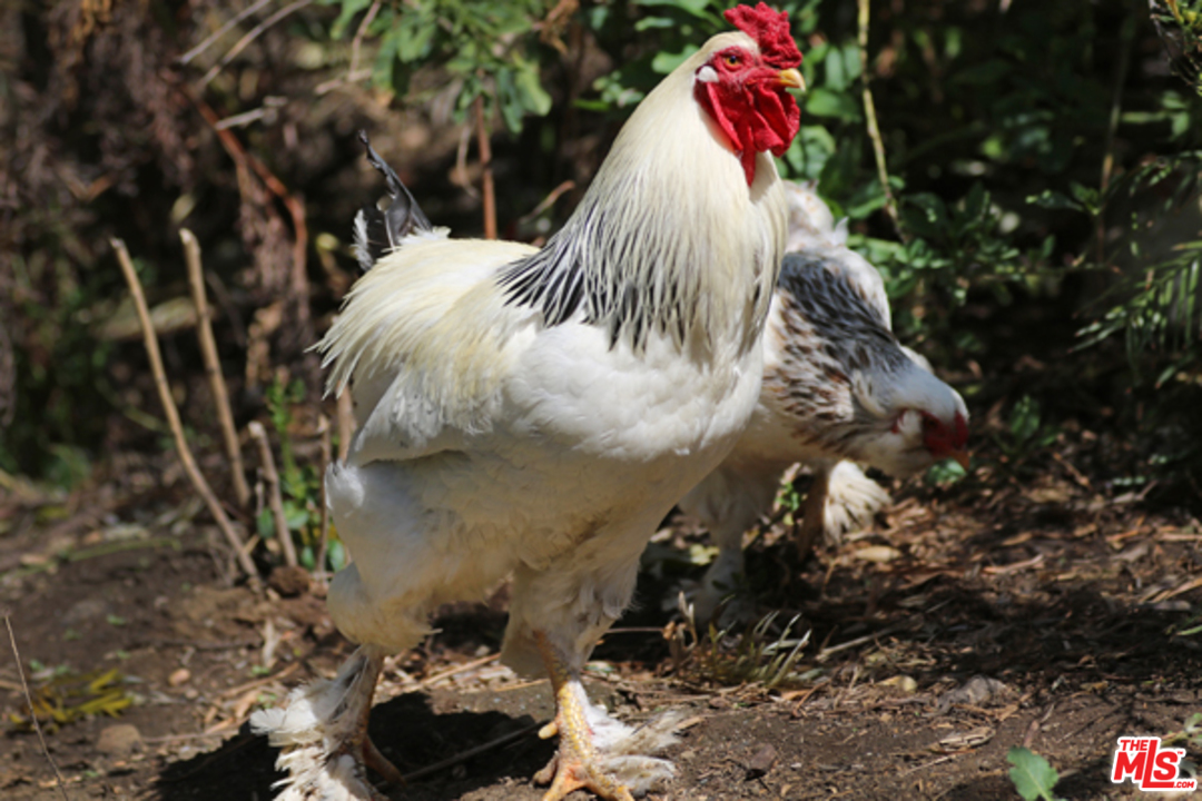 1580 Las Virgenes Road Calabasas, CA 91302 - Photo 47 of 51 a view of backyard with tub
