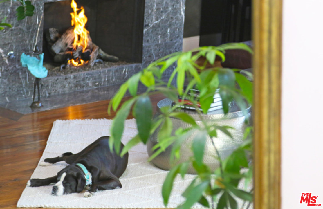 1580 Las Virgenes Road Calabasas, CA 91302 - Photo 8 of 51 a vase of flowers