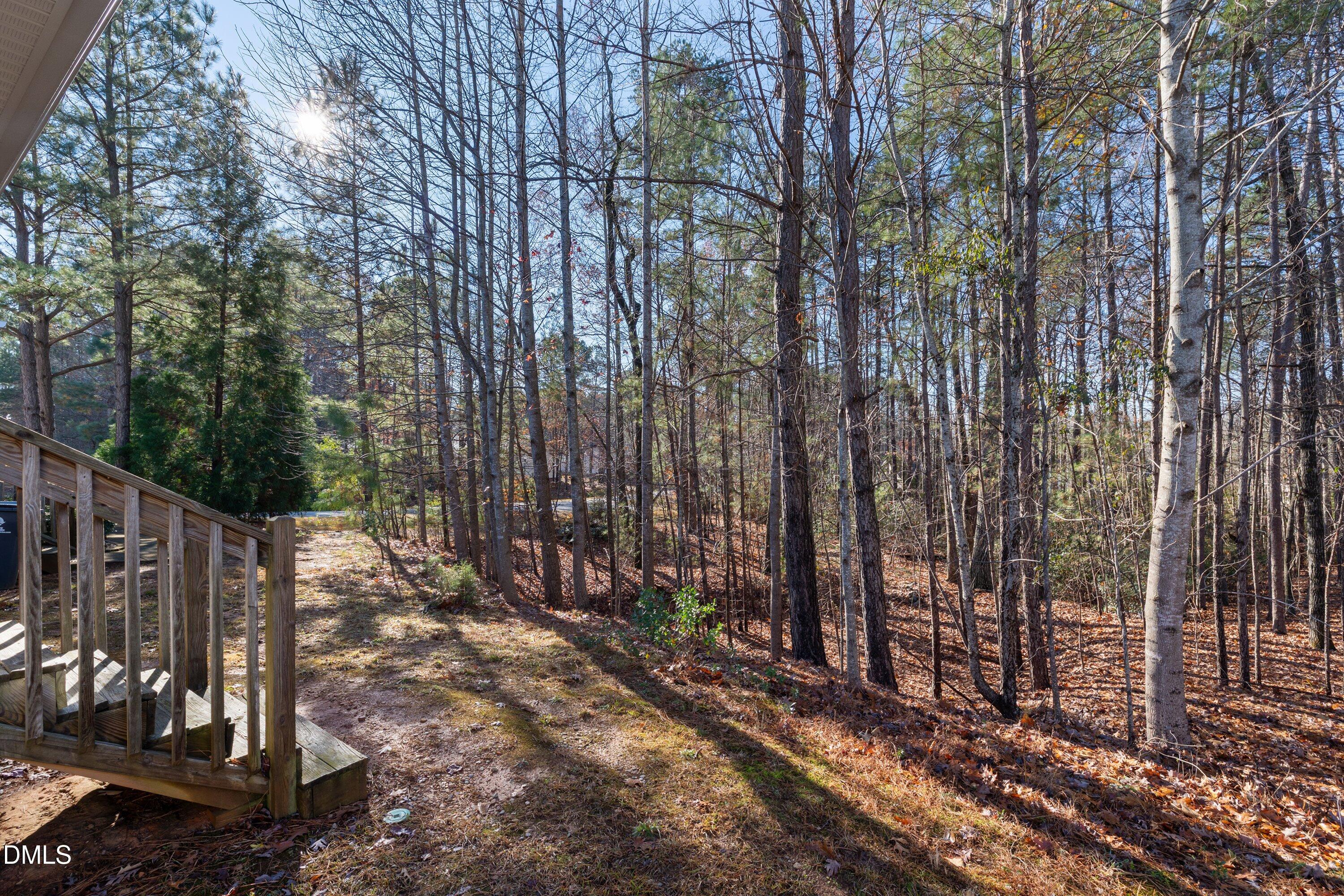 3666 East Cotton Gin Drive Clayton, NC 27527 - Photo 33 of 33 a view of a yard with plants and large trees