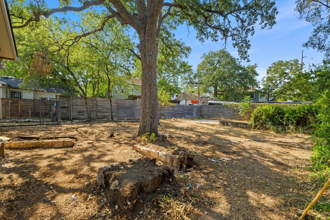 1811 Palma Plaza Austin, TX 78703 - Photo 3 of 17 a view of yard with tree