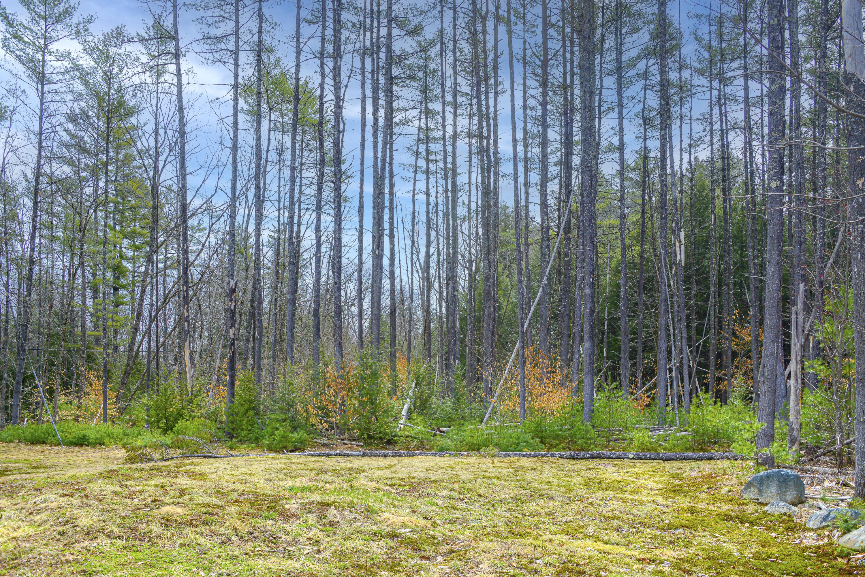 3 Hardscrabble Road Sweden, ME 04040 - Photo 26 of 28 3 hardscrabble road-52