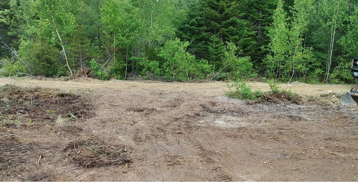 0 High Street Brooklin, ME 04616 - Photo 4 of 8 Nice level lot
