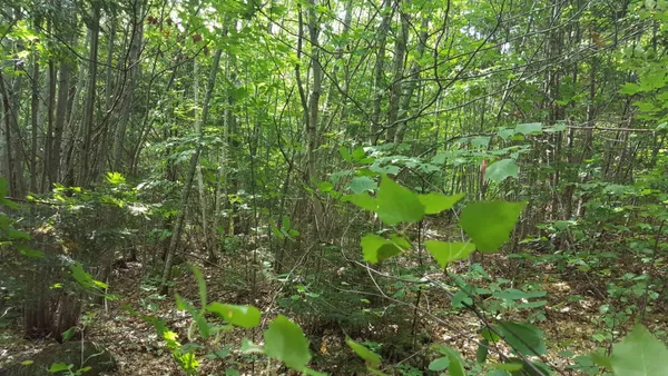 $80,000 | 99 Parker Pond Road, Jay, ME 04239