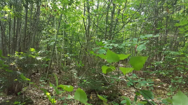 $80,000 | 99 Parker Pond Road, Jay, ME 04239