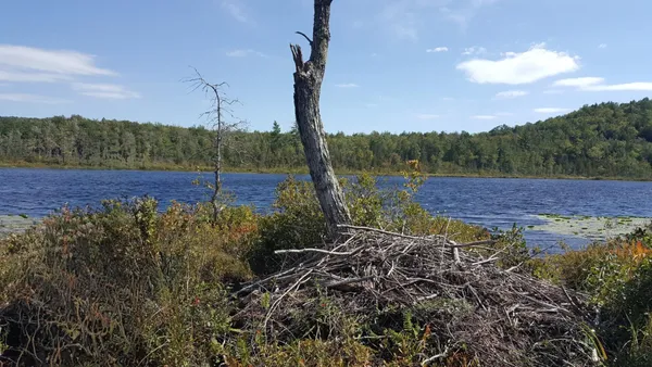 $80,000 | 99 Parker Pond Road, Jay, ME 04239