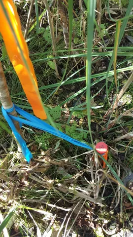 $80,000 | 99 Parker Pond Road, Jay, ME 04239