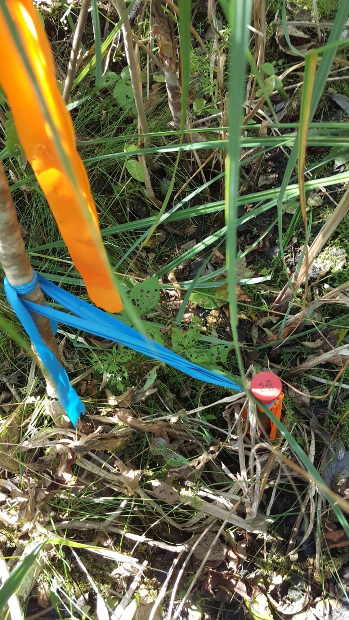 99 Parker Pond Road Jay, ME 04239 - Photo 7 of 9 7