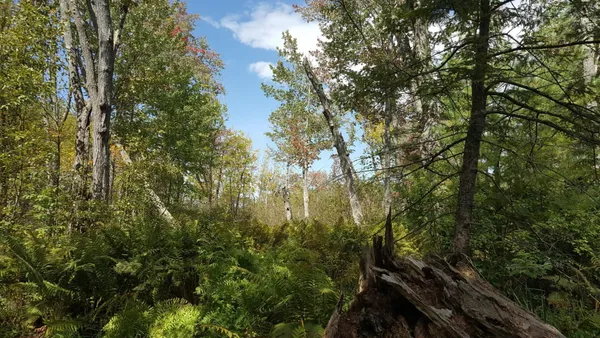 $80,000 | 99 Parker Pond Road, Jay, ME 04239