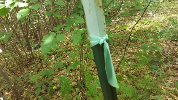 $80,000 | 99 Parker Pond Road, Jay, ME 04239