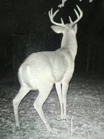 $284,900 | 40 East 48th Street, Chase, MI 49623