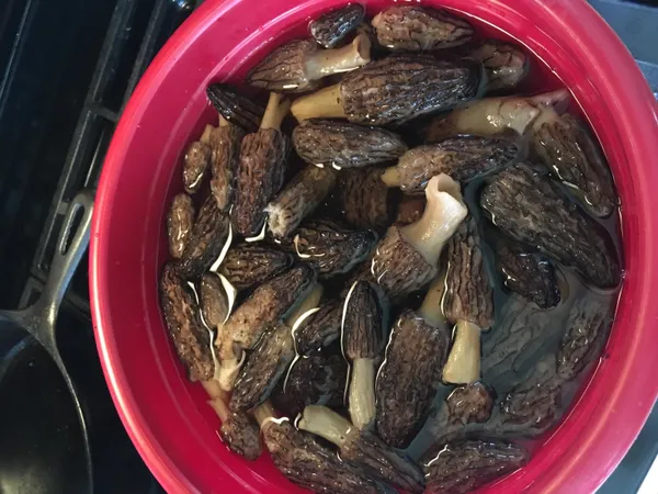 $284,900 | 40 East 48th Street, Chase, MI 49623