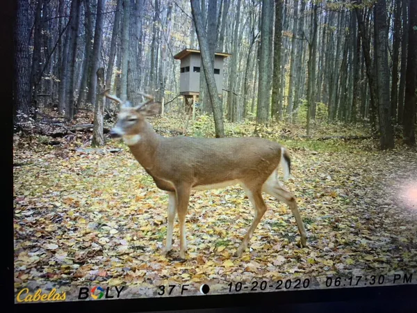 $284,900 | 40 East 48th Street, Chase, MI 49623