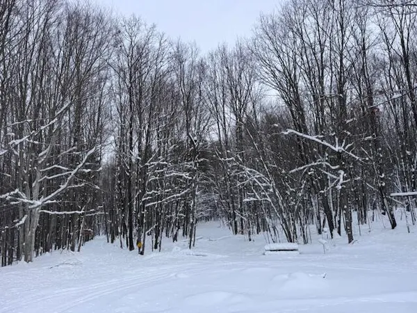 $284,900 | 40 East 48th Street, Chase, MI 49623