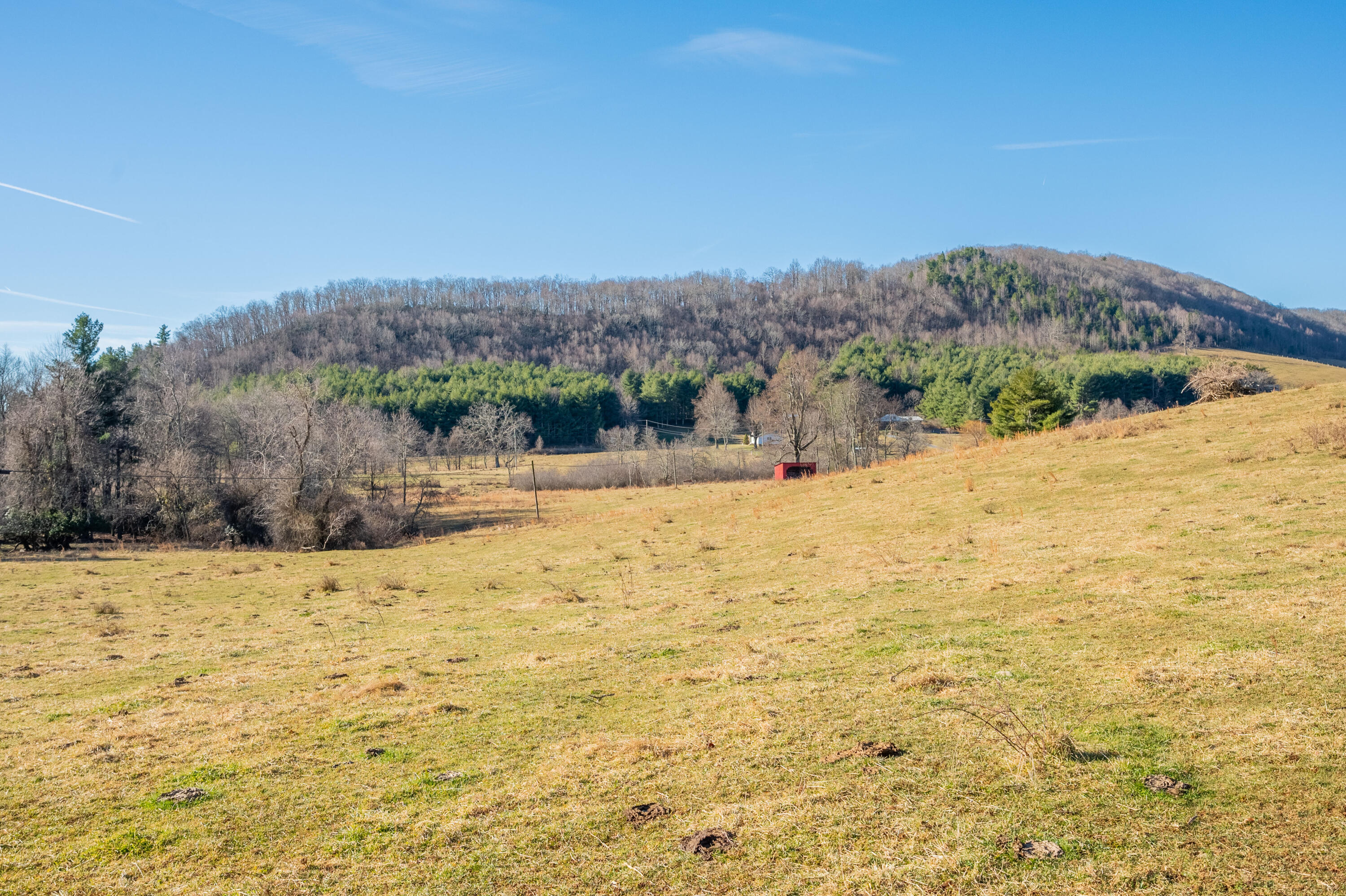 0 Conner Grove Road Southwest Meadows Of Dan, VA 24120 - Photo 14 of 25 willis-45