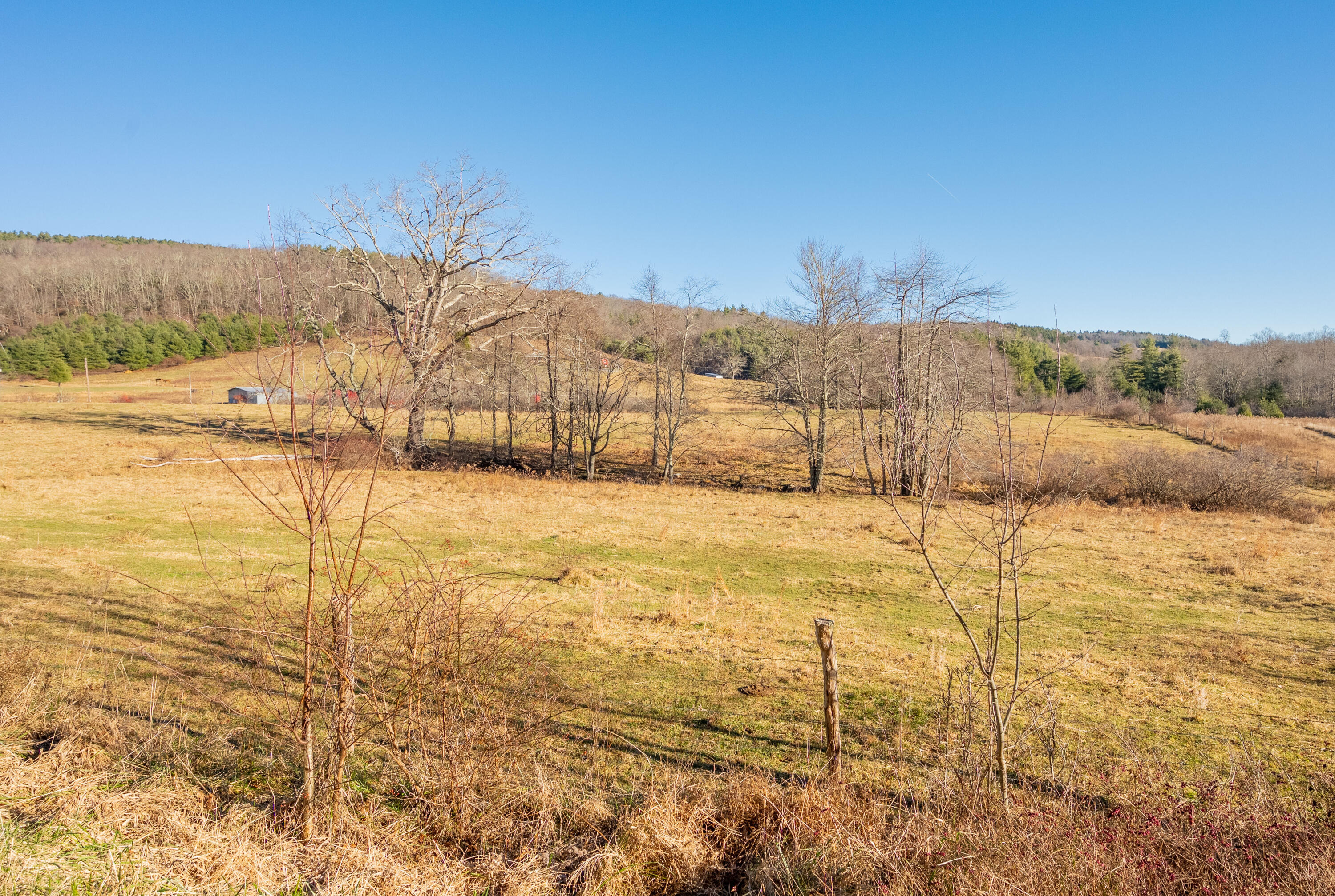 0 Conner Grove Road Southwest Meadows Of Dan, VA 24120 - Photo 4 of 25 willis-6
