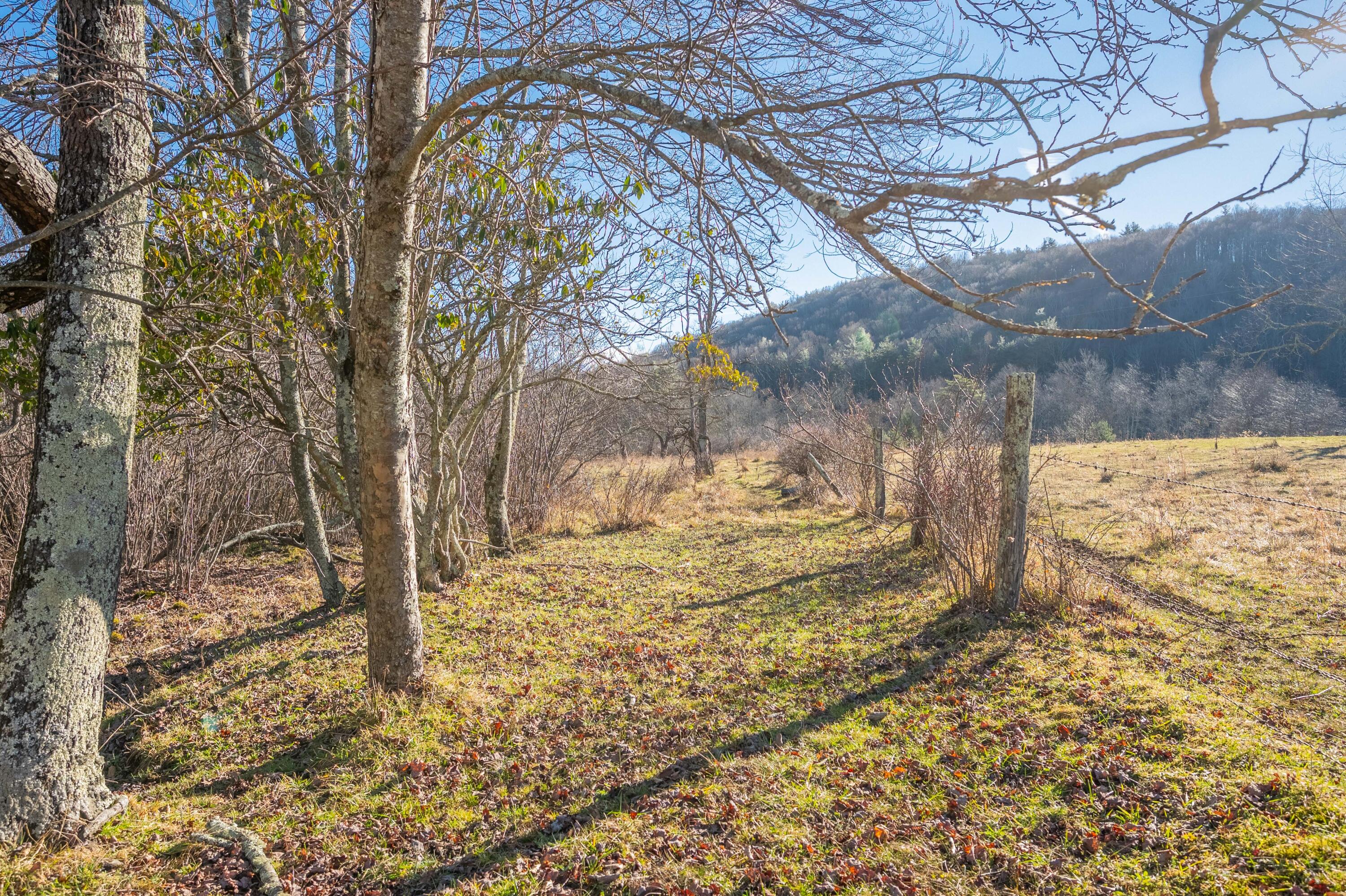 0 Conner Grove Road Southwest Meadows Of Dan, VA 24120 - Photo 9 of 25 willis-25