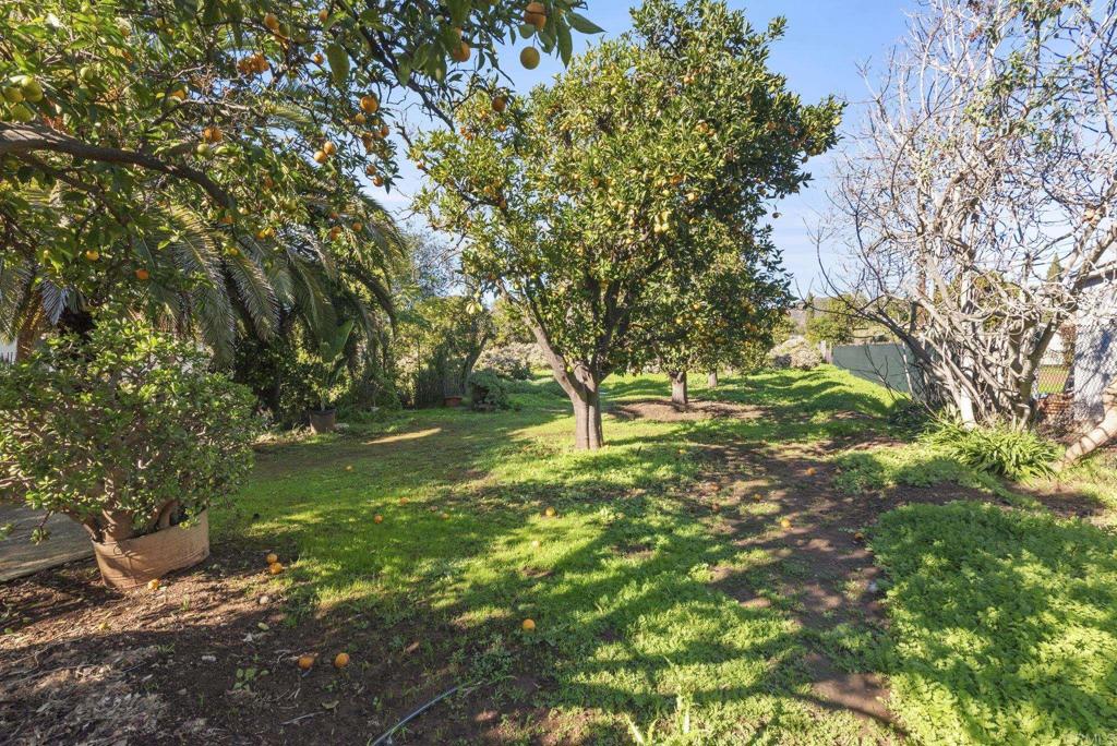 3414 Royal Road Vista, CA 92084 - Photo 38 of 48 a backyard of a house with lots of green space