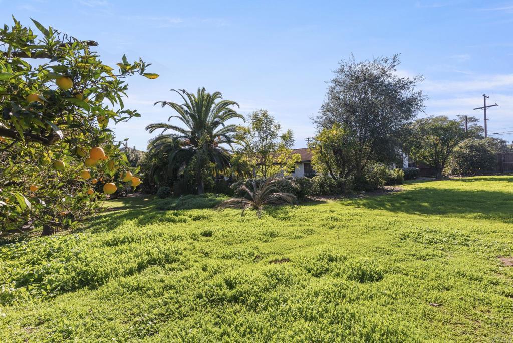 3414 Royal Road Vista, CA 92084 - Photo 41 of 48 a view of a garden with a tree