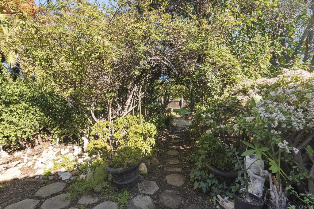 3414 Royal Road Vista, CA 92084 - Photo 45 of 48 a view of a tree with lots of plants