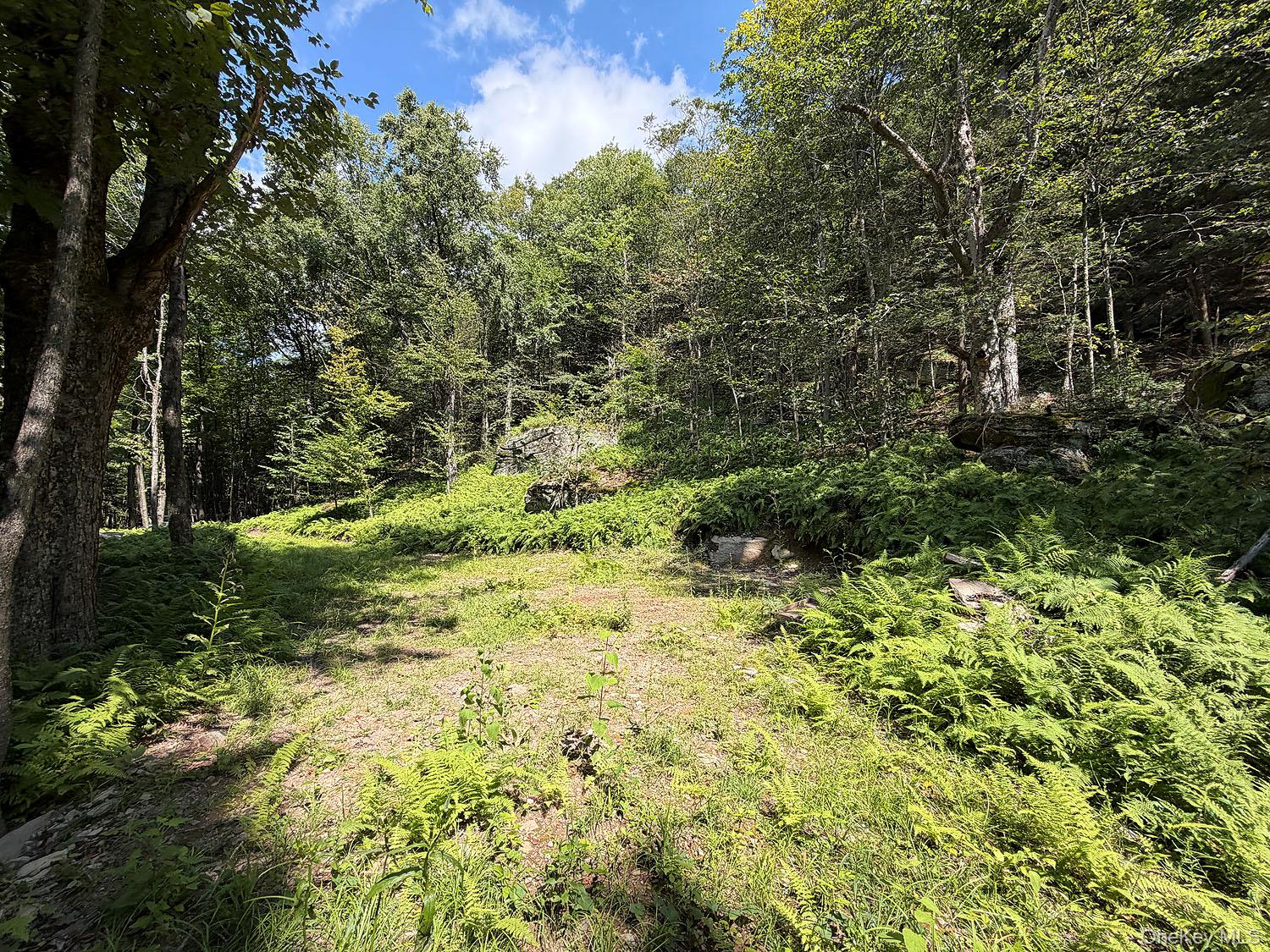 Hammer Road Hankins, NY 12736 - Photo 22 of 29 Gallery Image 22