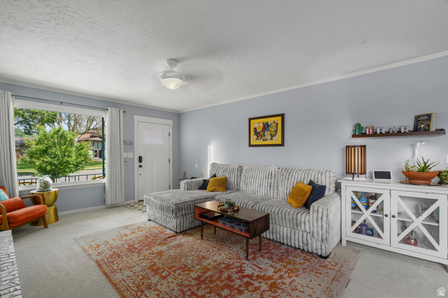 961 33rd Street Ogden, UT 84403 - Photo 9 of 39 Bright living area featuring a large picture window, light blue wall paint, a white front entry door with a rectangular glass insert, and a ceiling-mounted light fixture