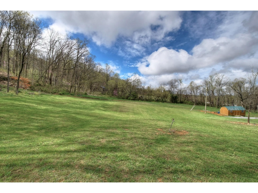 1830 West Pines Road Afton, TN 37616 - Photo 5 of 36 Photo 5