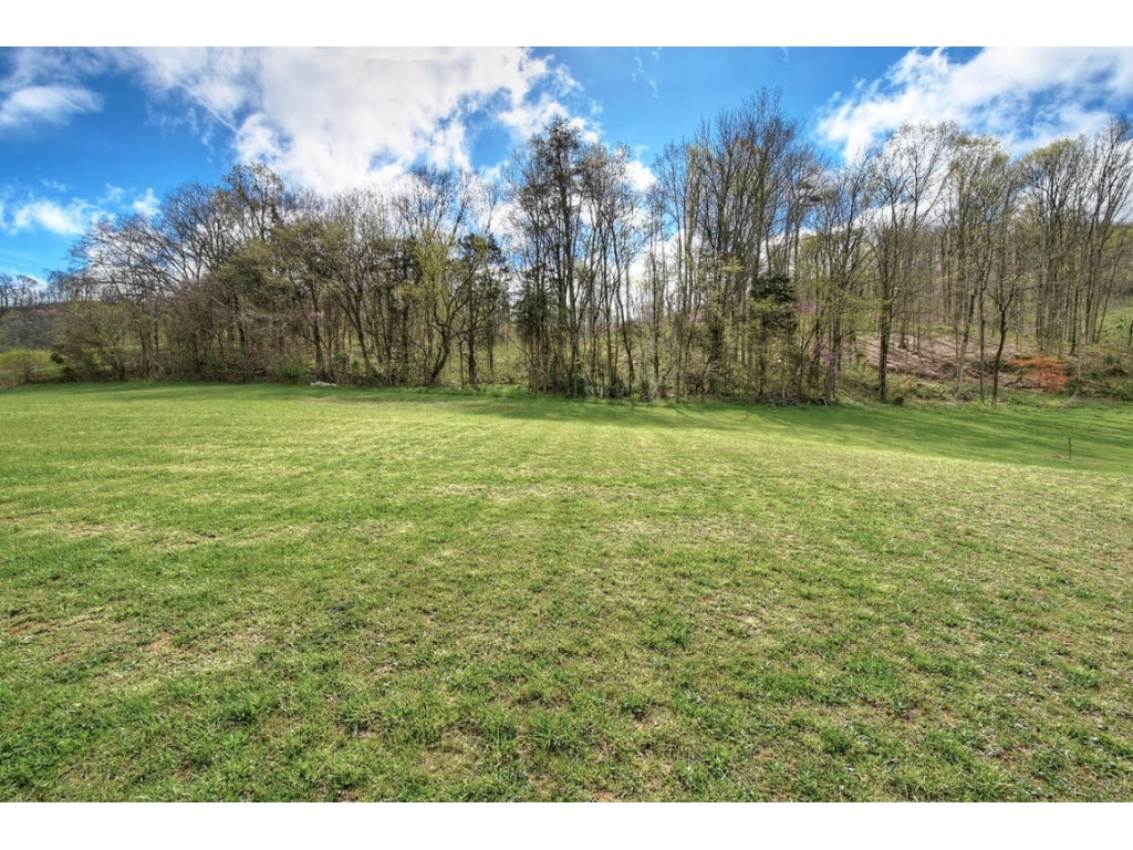 1830 West Pines Road Afton, TN 37616 - Photo 7 of 36 Photo 7