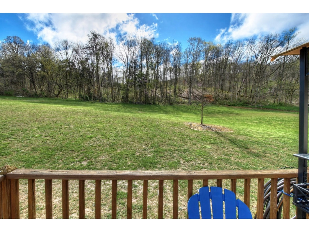 1830 West Pines Road Afton, TN 37616 - Photo 8 of 36 Photo 8