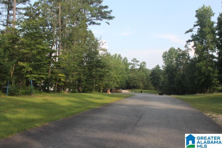 0 Red Cedar Drive, Unit 121 Wedowee, AL 36278 - Photo 17 of 21