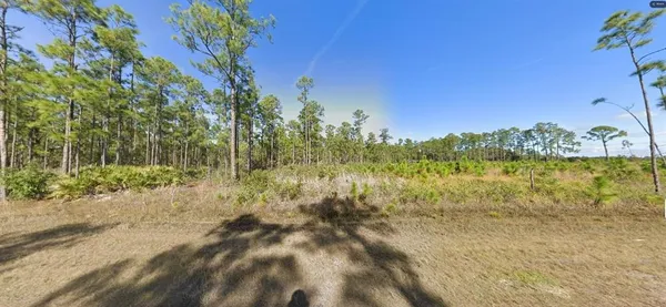 $40,000 | 624 Calendula Drive, Indian Lake Estates, FL 33843